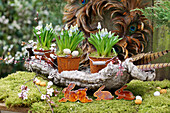 Grape hyacinths planted in little rusty buckets, Easter bunnies and Easter eggs on tree bark with wreath of feathers in the background