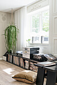 Record shelves below hanging houseplant in bright room