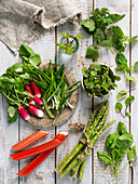 Greens and herbs: rhubarb, asparagus, spinach, nettles, radish, ramson