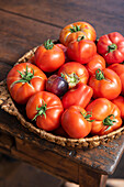 Bio-Tomaten in Korb auf Holztisch