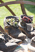 Alte Stiefel mit Hauswurz bepflanzt