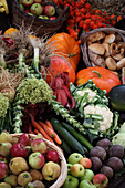 Thanksgiving: apples, pumpkins, cauliflower, carrots, cucumber, beet, Brussels sprouts, leeks, and a bread basket