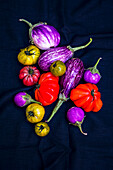 Colourful aubergines and tomatoes