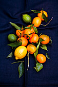 Zitrone, Limetten und Mandarinen