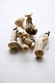 Brown King trumpet mushrooms (also known as eryngii mushrooms)