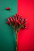 Bouquet of chilies on a green-red background