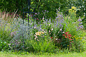 Insect-friendly perennial bed: Lobelia, Anise hyssop, yarrow, White gaura, Kismet 'Intense Orange' echinacea, dyer's chamomile, forest bellflower, and Patagonian verbena