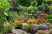 Late summer beds with brick edging: Petunia Mini Vista 'Violet Star', Swan River daisy, Thyme, Zinnias, Japanese blood Grass 'Red Baron', white gaura, Curry plant, Cranesbill, Tuscan Kale 'Nero di Toscana', Garden Foxtail, Dyer's Chamomile, Magic Snow, Work Table with Harvest Basket and Watering Can