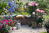 Kleine Kiesterrasse im Garten mit Mauer zum Sitzen, Töpfe mit Dahlien 'Bluesette' 'Gallery Bellini' und 'Mystic Dreamer', Bleiwurz, Zinnie, Orientalischer Knöterich