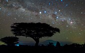 Night sky over Amboseli National Park, Kenya