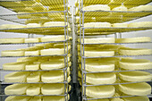 Cheeses on wire racks
