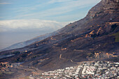Table Mountain fire 2021, South Africa