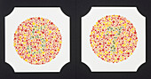 Colour blindness test plates