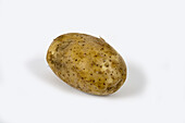 Lady Balfour Potato