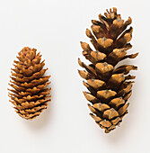Two different sized brown cones