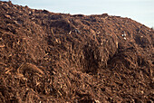 Heap of compost