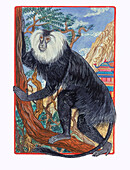Mythical monkey climbing a tree, illustration