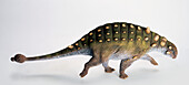 Euoplocephalus ankylosaur dinosaur, illustration