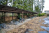 Abandoned school, Fukushima, Japan