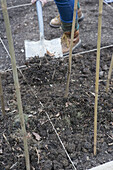 Adding mulch to vegetable garden using spade