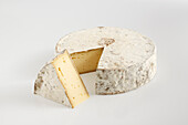 Tomme des Bauges AOC cow's milk cheese
