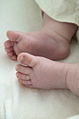 Baby boy's feet