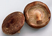 Two shiitake mushrooms