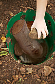 Hand placing logs in bucket