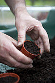 Small plastic pot of compost