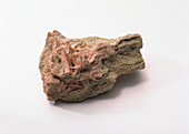 Rose clinozoisite with thulite