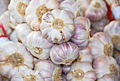 Heap of garlic bulbs