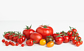 Selection of different tomatoes