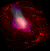 Active galaxy NGC 1068, composite image