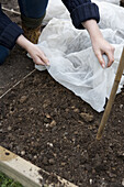 Covering seed bed with garden fleece