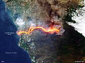 Lava flowing into the sea on La Palma, satellite image
