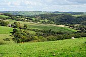 View across fields, UK