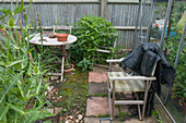 Table and chairs by greenhouse on allotment