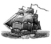 Ship with three masts and 8 sails, illustration