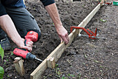 Man constructing a raised bed with drill and clamp