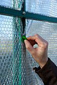 Woman installing bubble wrap on greenhouse windows