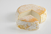 French petit fiance des Pyrenees goat's cheese