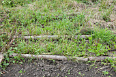 Unworked land on allotment with grass and weeds