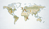 Map of the world with flying reptiles, illustration