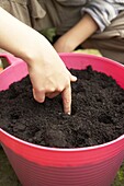 Making holes in soil for plant seeds in large container