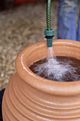 Filling a terracotta with a water using a gardening hose