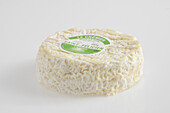 Whole round of French Saint Felicien cow's milk cheese