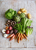 Various fresh vegetables and lettuce