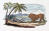Lion and crocodile in confrontation, illustration