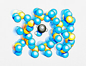 Reacting molecule trapped in zeolite pore, illustration