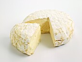 Round and slice of Spanish Tou del Tillers cow's milk cheese